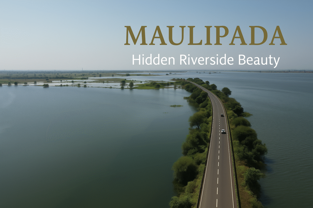 मौलीपाड़ा की जलभरी भूमि और बीच से गुजरती सड़क का ड्रोन दृश्य – टापी नदी क्षेत्र की प्राकृतिक सुंदरता