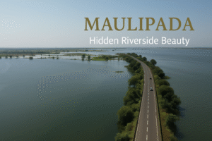 मौलीपाड़ा की जलभरी भूमि और बीच से गुजरती सड़क का ड्रोन दृश्य – टापी नदी क्षेत्र की प्राकृतिक सुंदरता