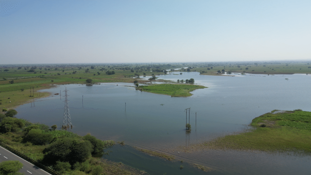 मौलीपाड़ा क्षेत्र में बरसाती पानी से भरे खेत और हरियाली का ड्रोन दृश्य